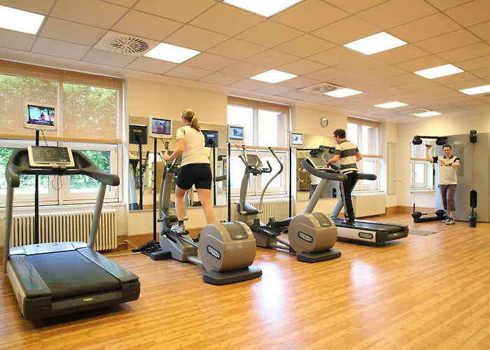 호텔 풀만 폰타나 4*