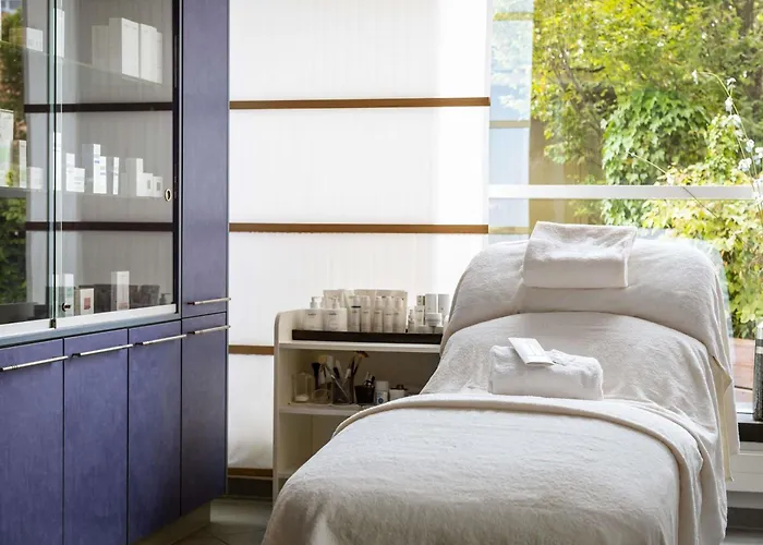 Hotel Pullman Fontana 4*