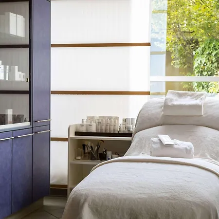 Hotel Pullman Fontana 4*